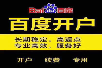 成功案例解析：百度推广代理商助力企业增长